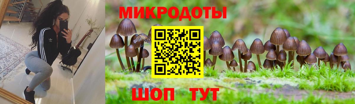 Бутурлиновка  Псилоцибиновые грибы мухоморы  Псилоцибиновые грибы мухоморы  Вход с VPN 